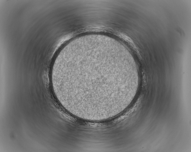 X0000110961218200907171643