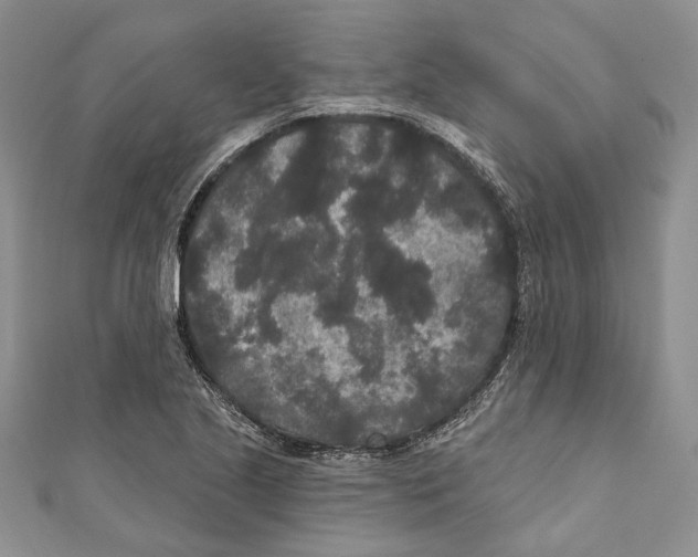 X0000110961221200907171643