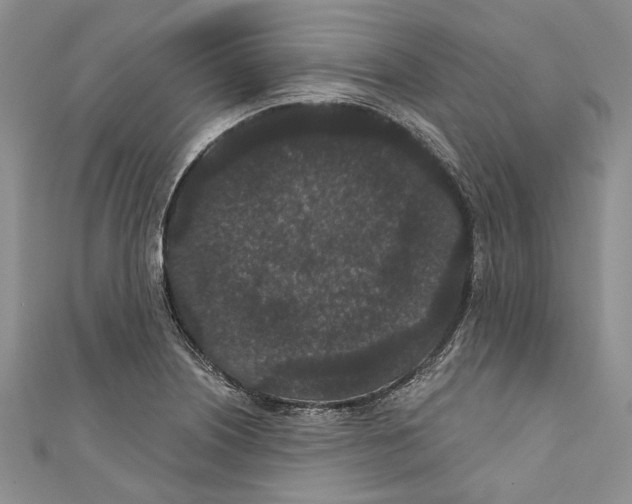 X0000110961226200907171643