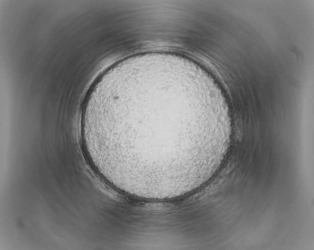 X0000110961227200907171643