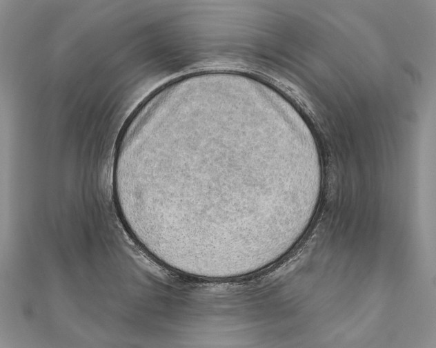 X0000110961228200907171643