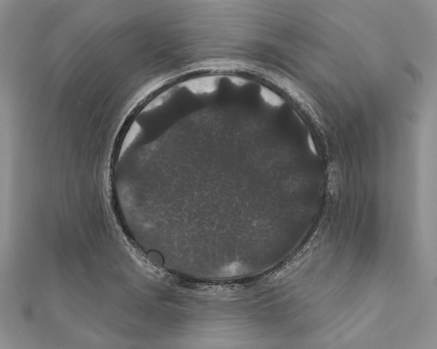 X0000110961229200907171643