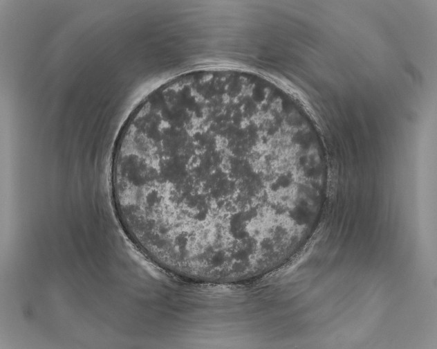 X0000110961231200907171643