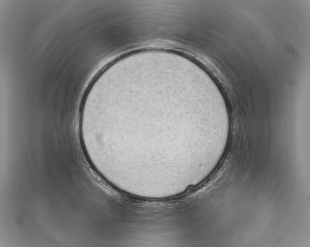 X0000110961232200907171643