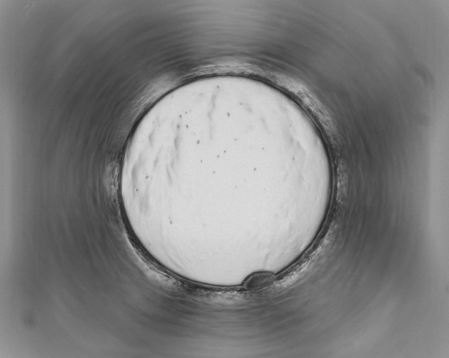 X0000110961233200907171643