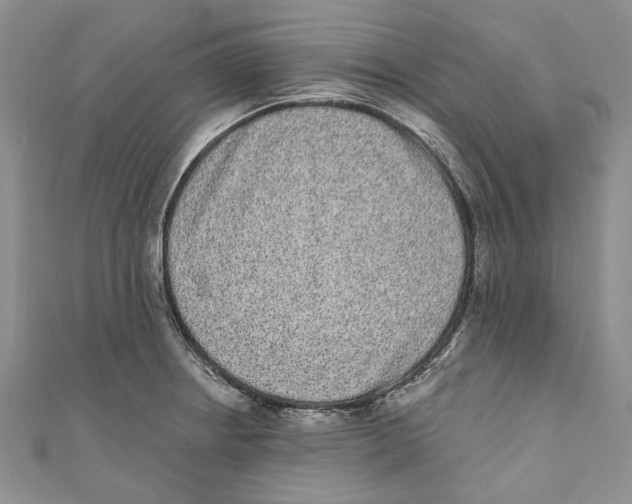 X0000110961234200907171643