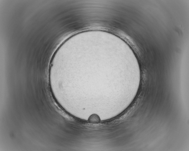 X0000110961236200907171643