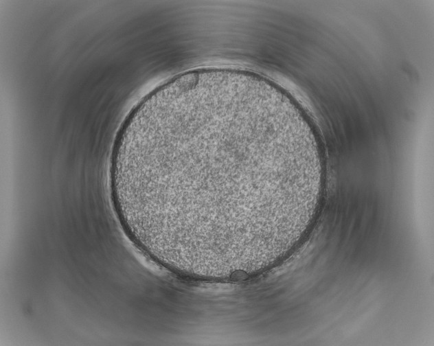 X0000110961237200907171643