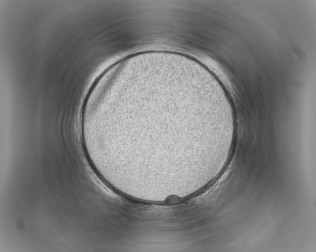 X0000110961238200907171643