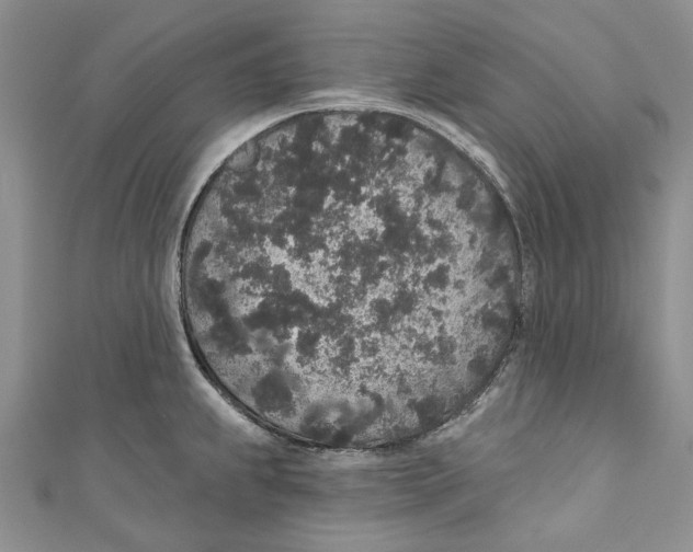 X0000110961239200907171643
