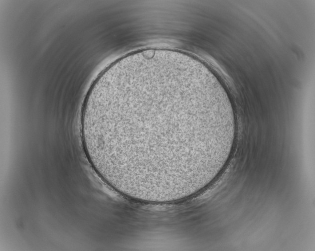 X0000110961240200907171643