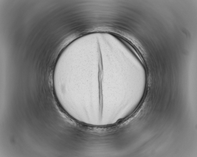 X0000110961241200907171643