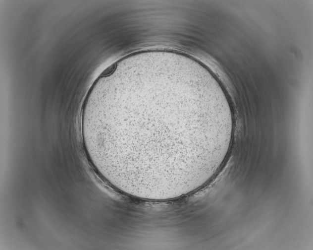 X0000110961242200907171643