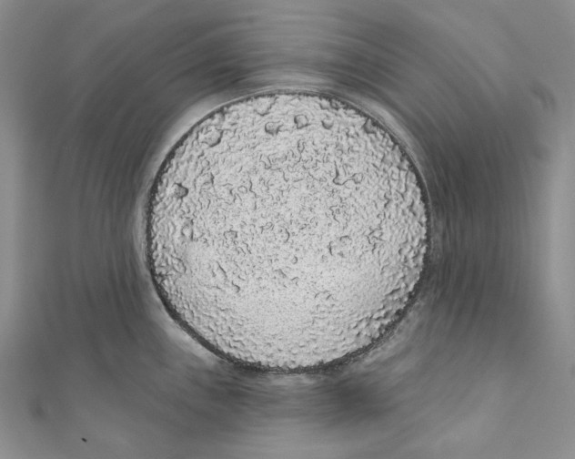 X0000110961243200907171643