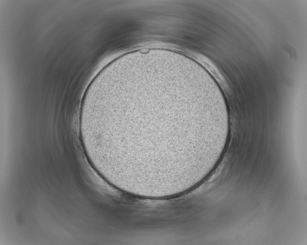 X0000110961244200907171643