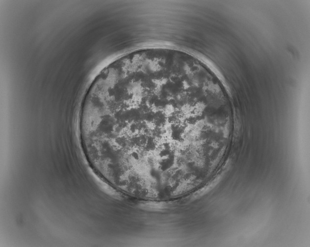 X0000110961245200907171643