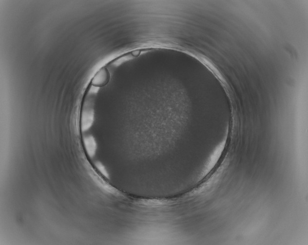 X0000110961246200907171643