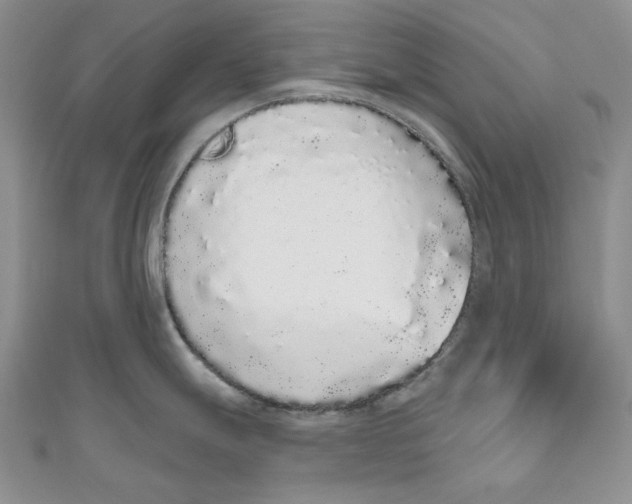 X0000110961247200907171643