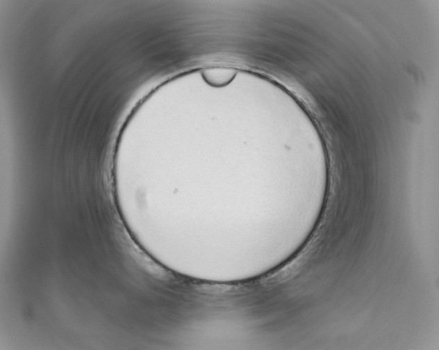 X0000110961248200907171643