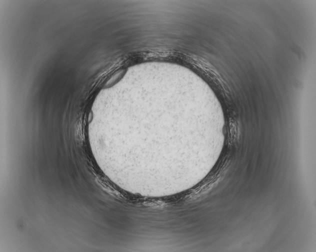 X0000110961250200907171642