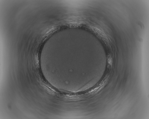 X0000110961252200907171642