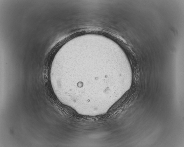 X0000110961255200907171642