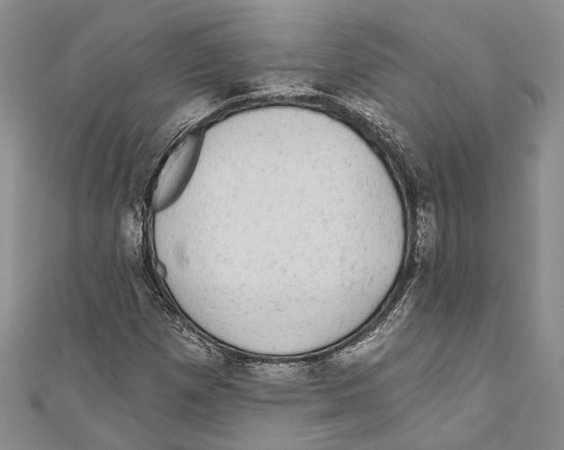 X0000110961257200907171642