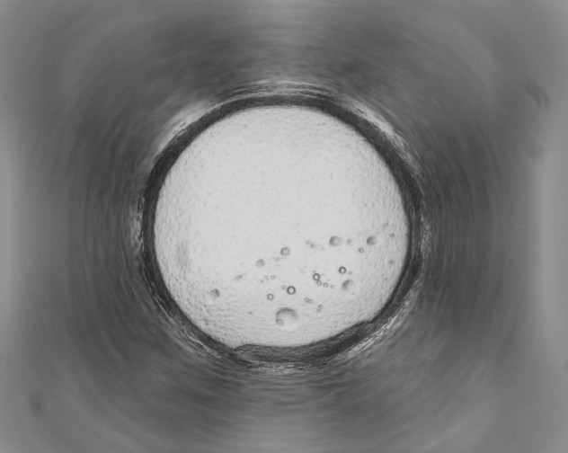 X0000110961259200907171642