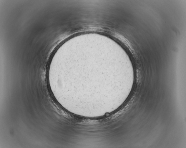 X0000110961260200907171642