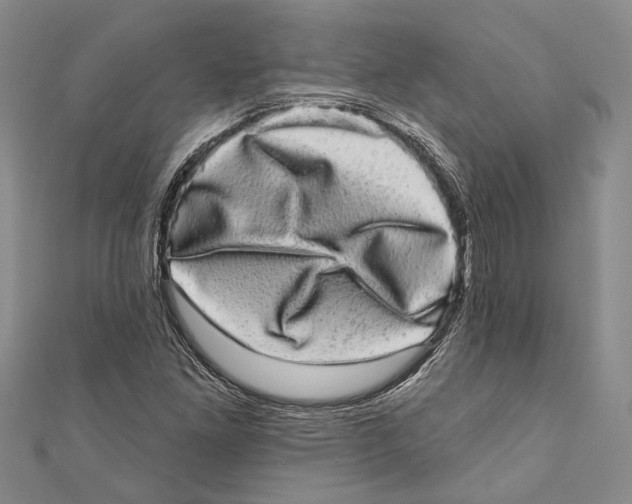 X0000110961261200907171642