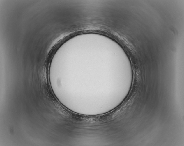 X0000110961262200907171642