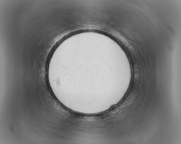 X0000110961264200907171642