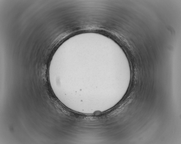 X0000110961265200907171642