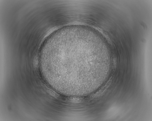 X0000110961266200907171642