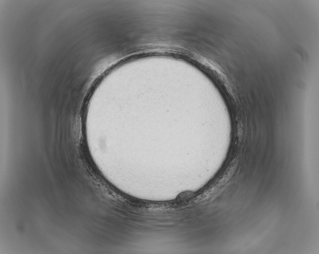 X0000110961267200907171642