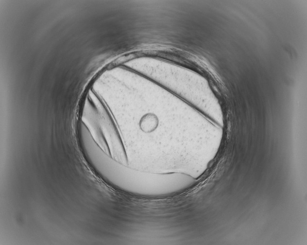 X0000110961268200907171642