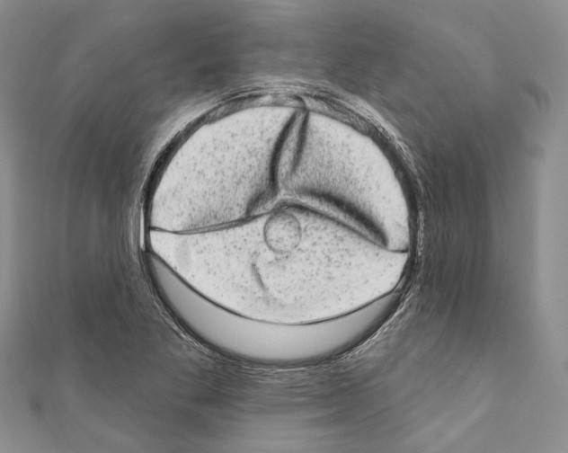 X0000110961269200907171642