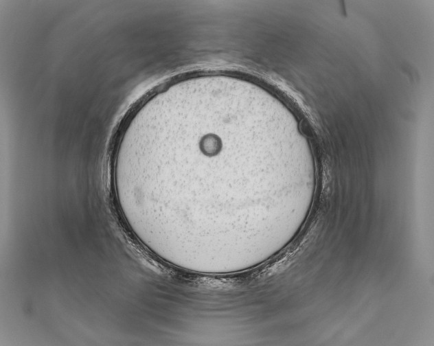 X0000110961270200907171642