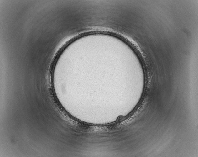 X0000110961271200907171642