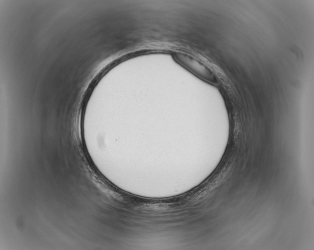 X0000110961272200907171642