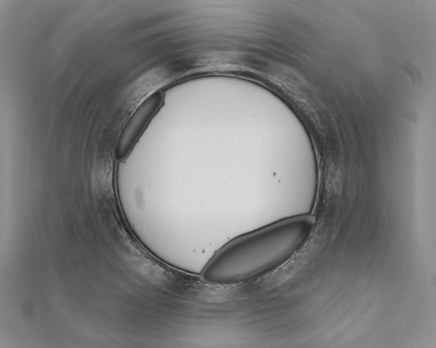 X0000110961273200907171642