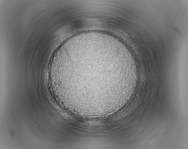 X0000110961274200907171642