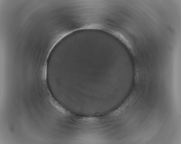 X0000110961276200907171642