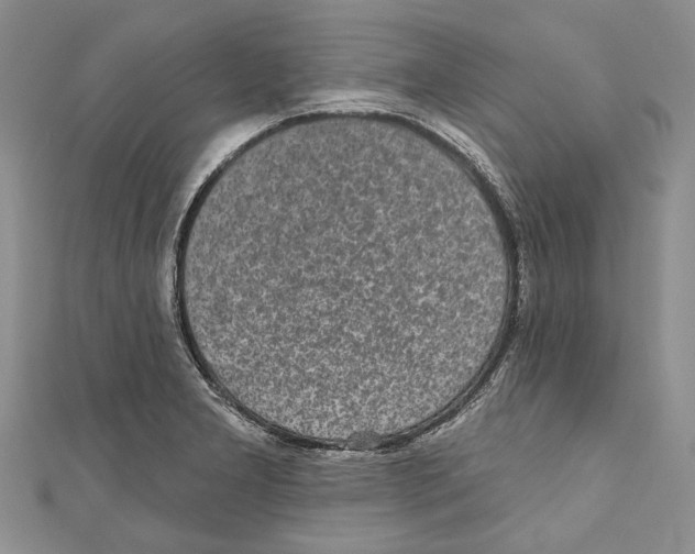 X0000110961277200907171642