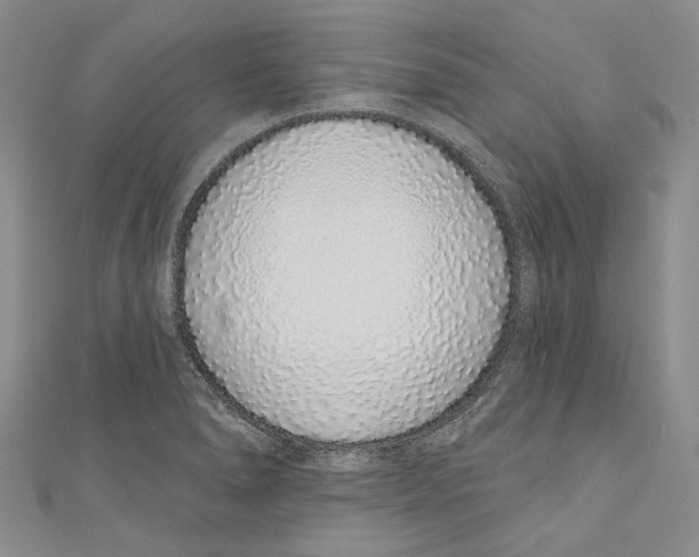 X0000110961278200907171642