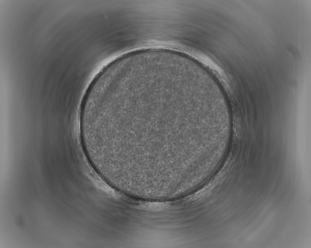 X0000110961280200907171642