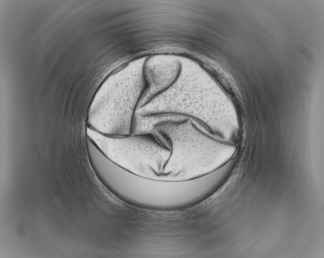 X0000110961281200907171642