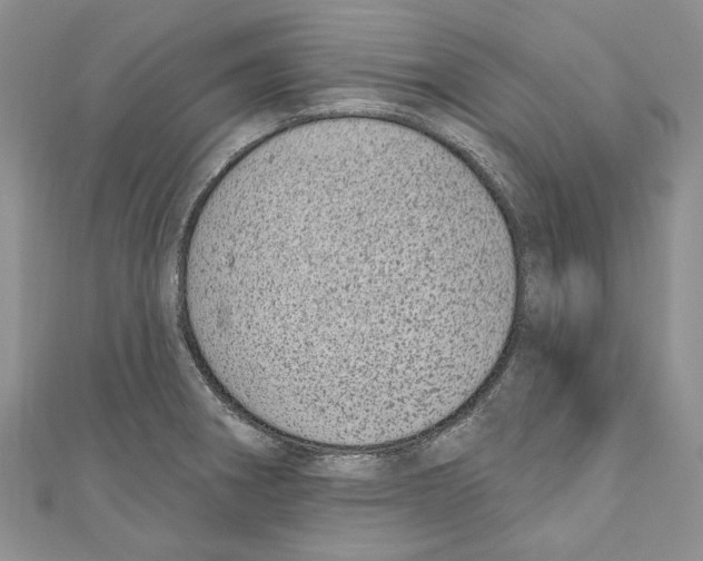 X0000110961282200907171642