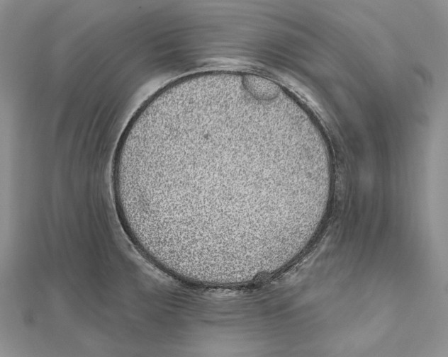 X0000110961283200907171642