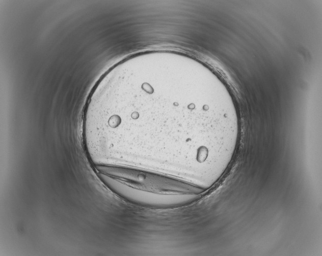 X0000110961284200907171642